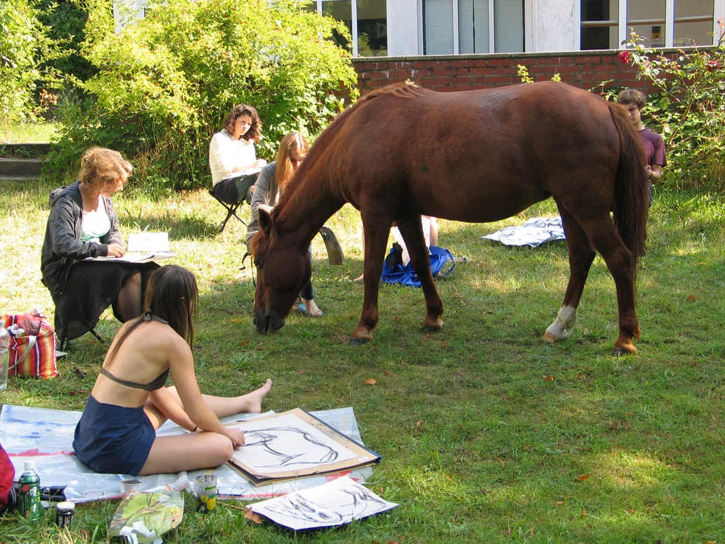 Sommerakademie Hiddensee 2008: Zeichnen und Malen in der Natur