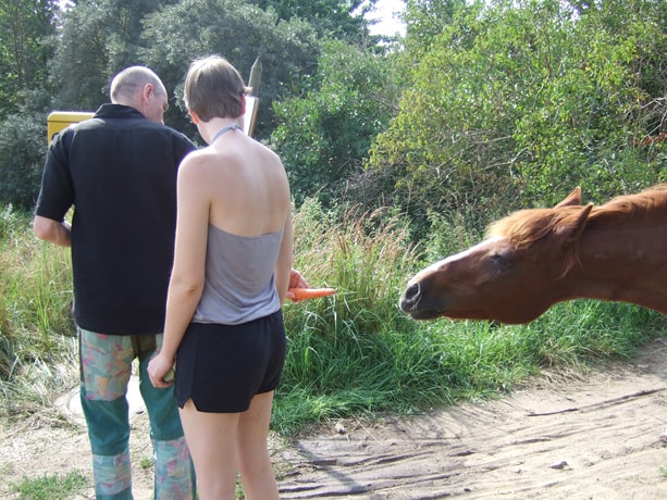 Sommerakademie Hiddensee 2008: Zeichnen und Malen in der Natur