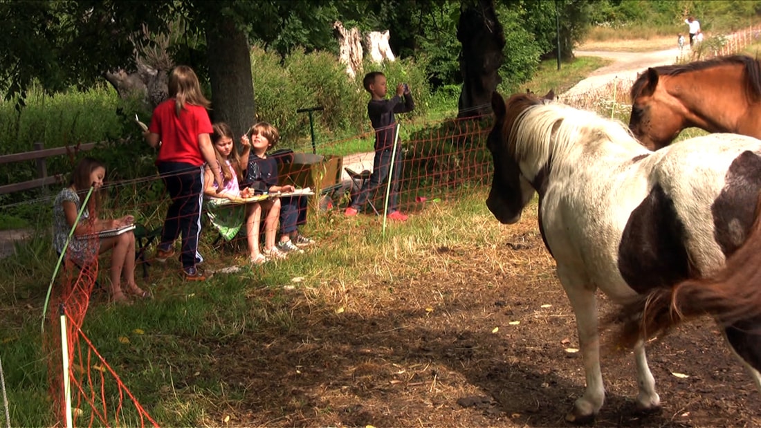 Sommerakademie Hiddensee 2013: Zeichnen und Malen in der Natur