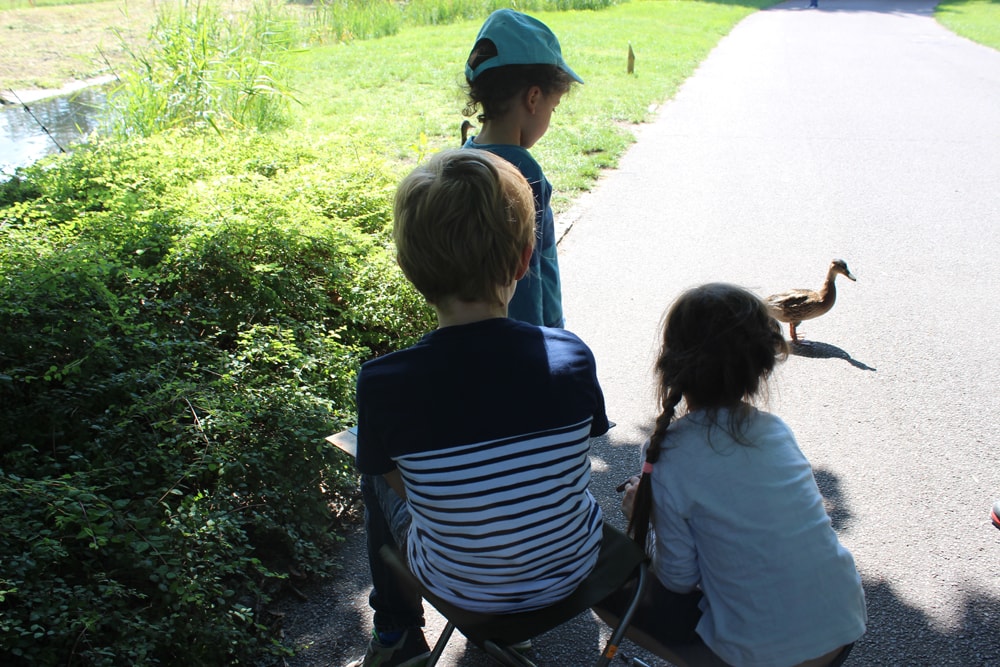 Kinder beobachten im Tierpark ein Tier am Weg