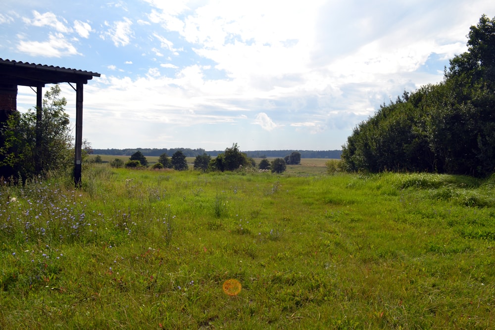 Sommerakademie 2017 in Neudorf (Uckermark): Zeichnen und Malen in der Natur