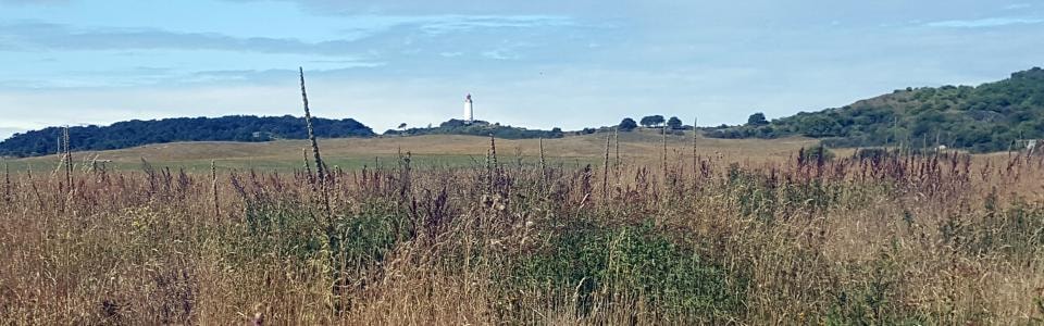 Sommerakademie Hiddensee 2018: Zeichnen und Malen in der Natur