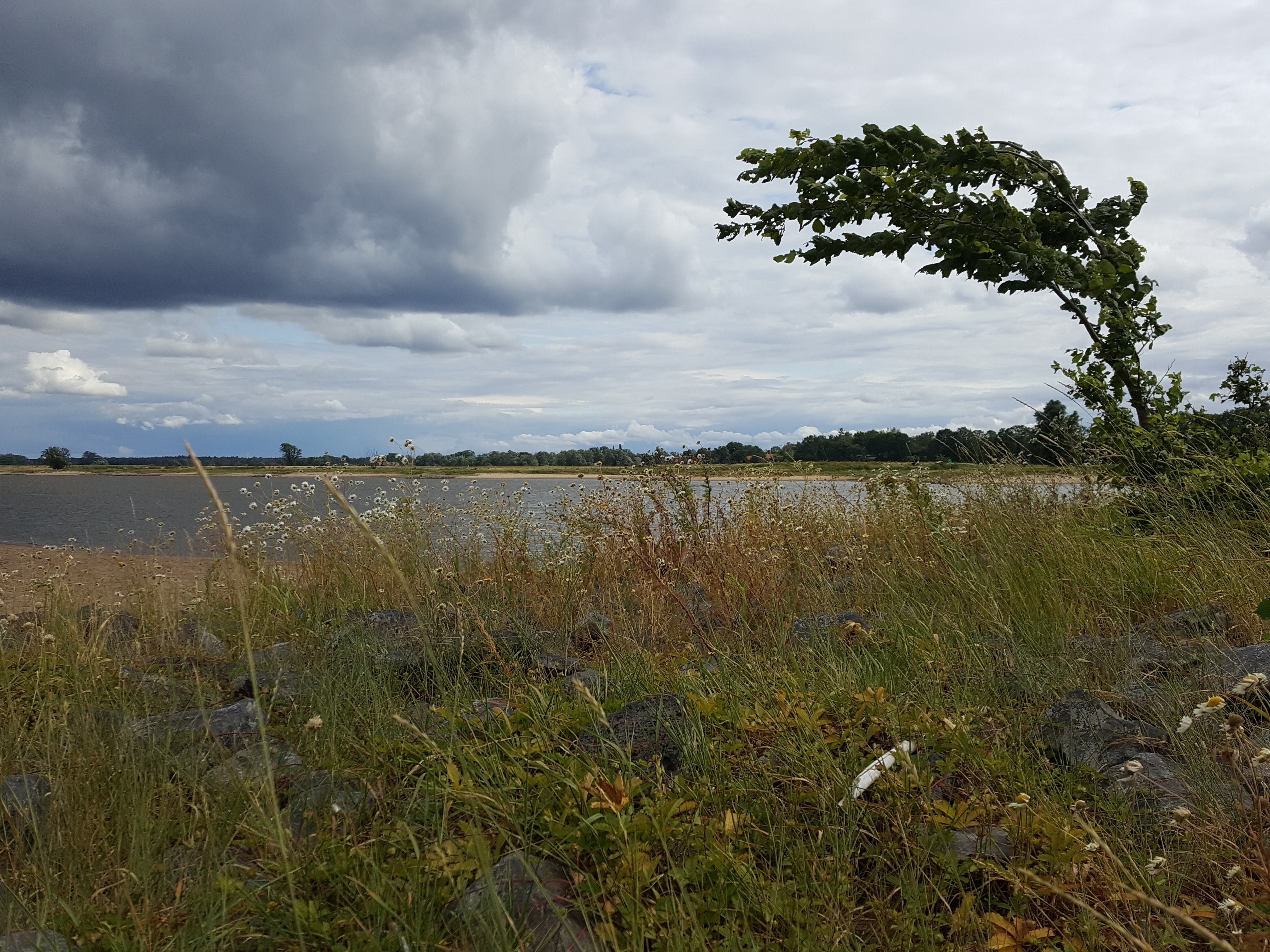 Sommerakademie an der Elbe 2019: Zeichnen und Malen in der Natur