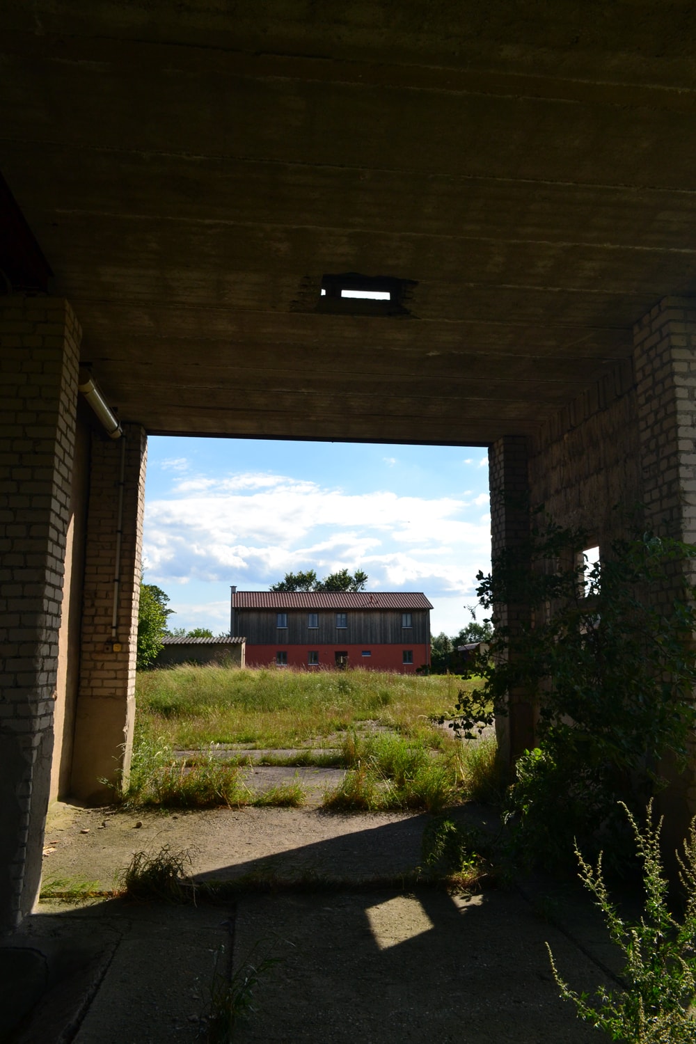 Sommerakademie 2017 in Neudorf (Uckermark): Zeichnen und Malen in der Natur