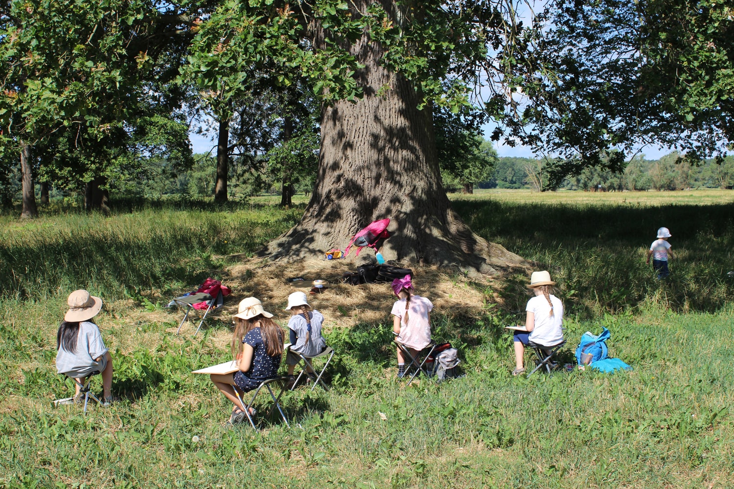 Kinder mit Sonnenhüten sitzen auf Hockern verteilt unter einem großen Baum auf der Wiese und zeichnen.