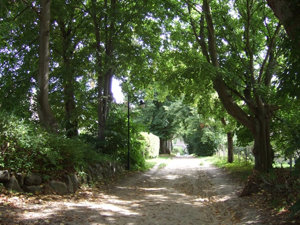Sommerakademie Hiddensee 2008: Zeichnen und Malen in der Natur
