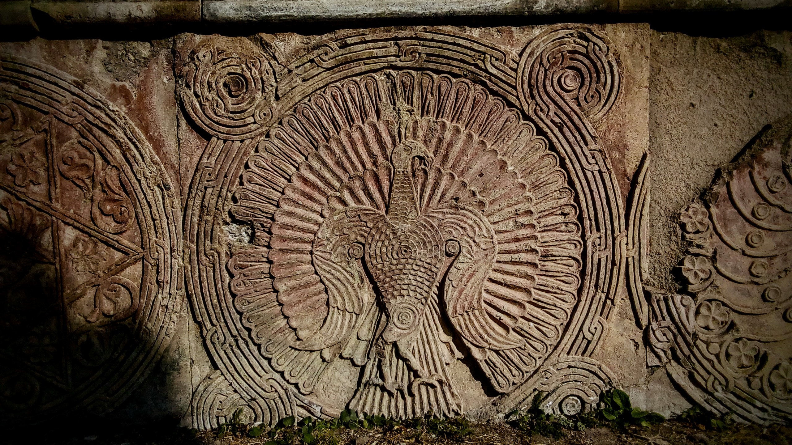 Steinrelief eines Pfaus mit Ornamenten an einer Mauer.